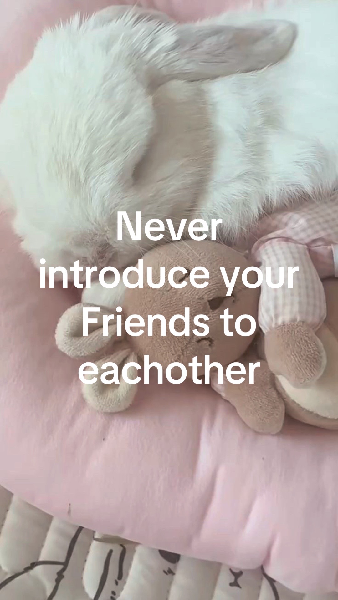 @♡