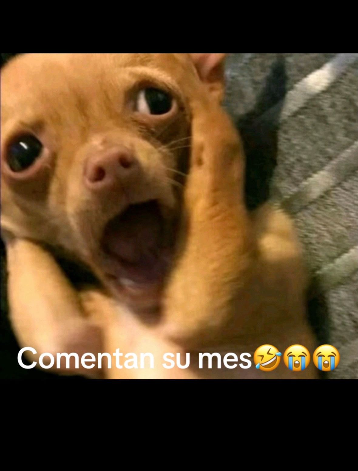 @moonlight11t