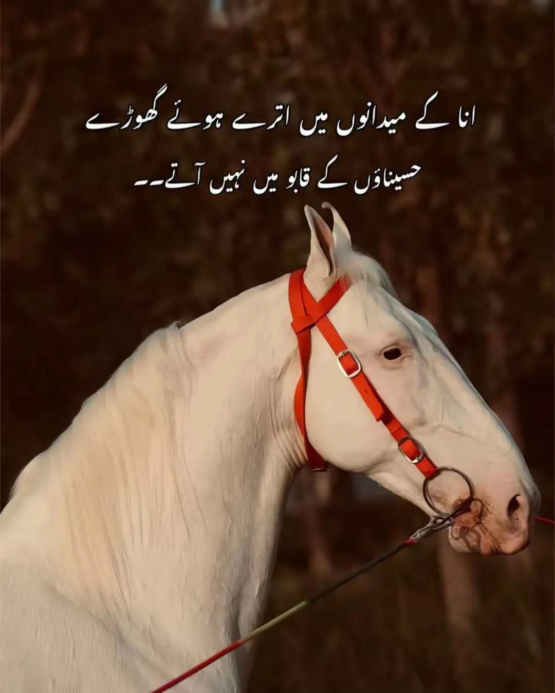 @Z.بٹ🔥🤝🏻