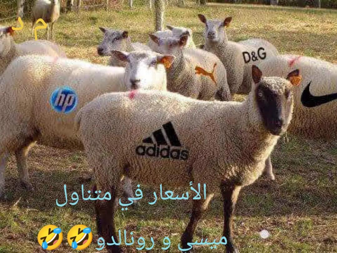 @mondher debichi🇹🇳🇲🇫🫶🫶❤️