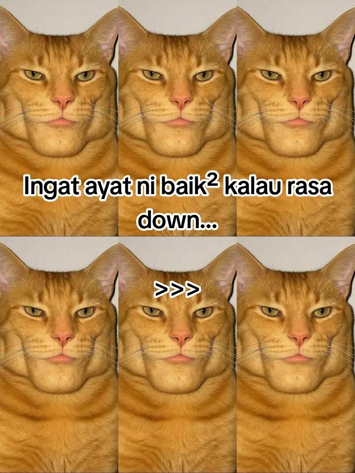 @HykalSazer01
