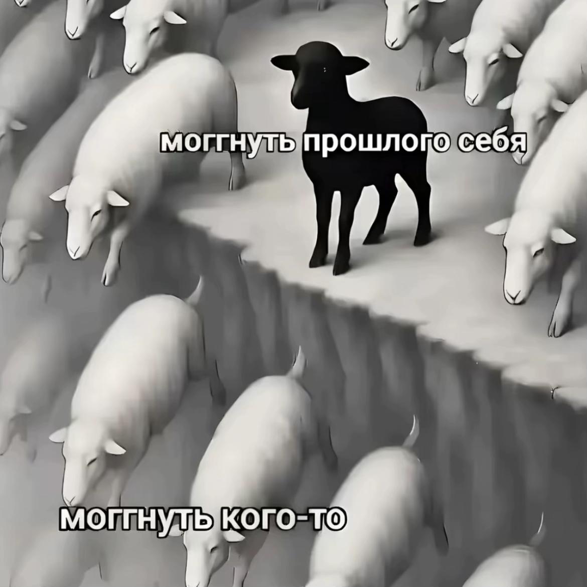 @ТГК:Nats