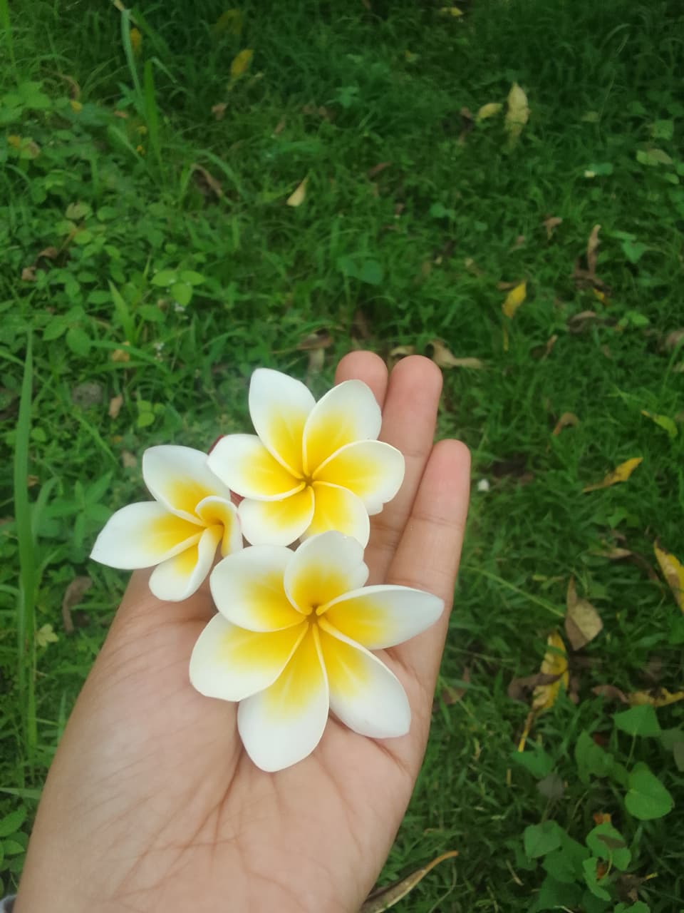 @🌷DeQ BuNgSu🌷