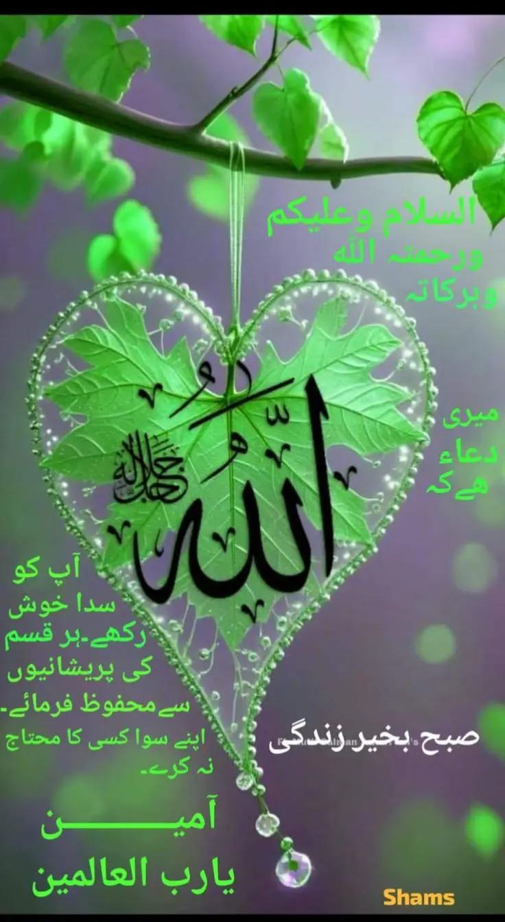 @manasar 996R