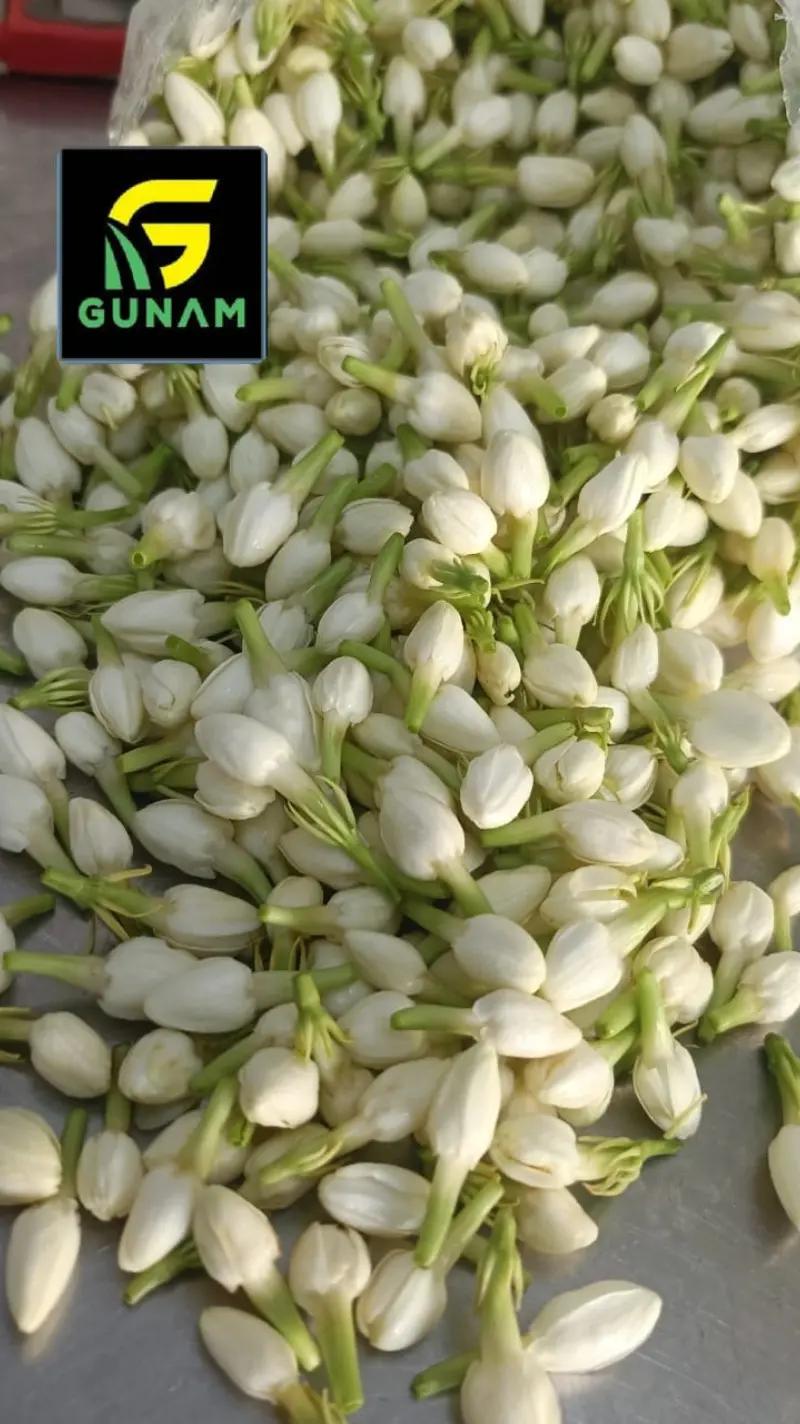 @gunamflorist