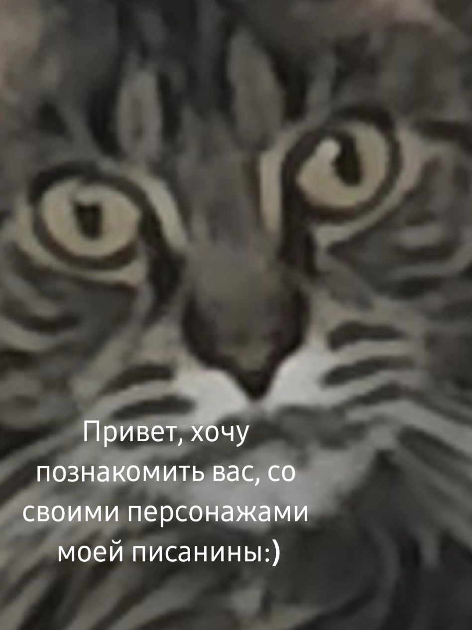 @kit