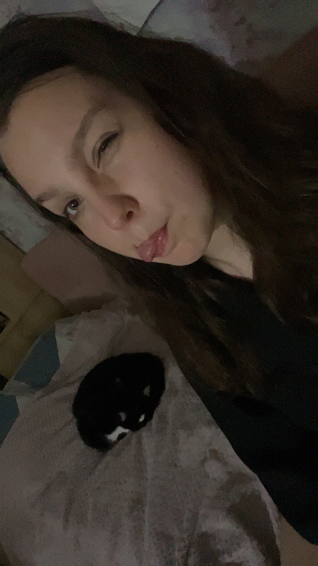 @🐾