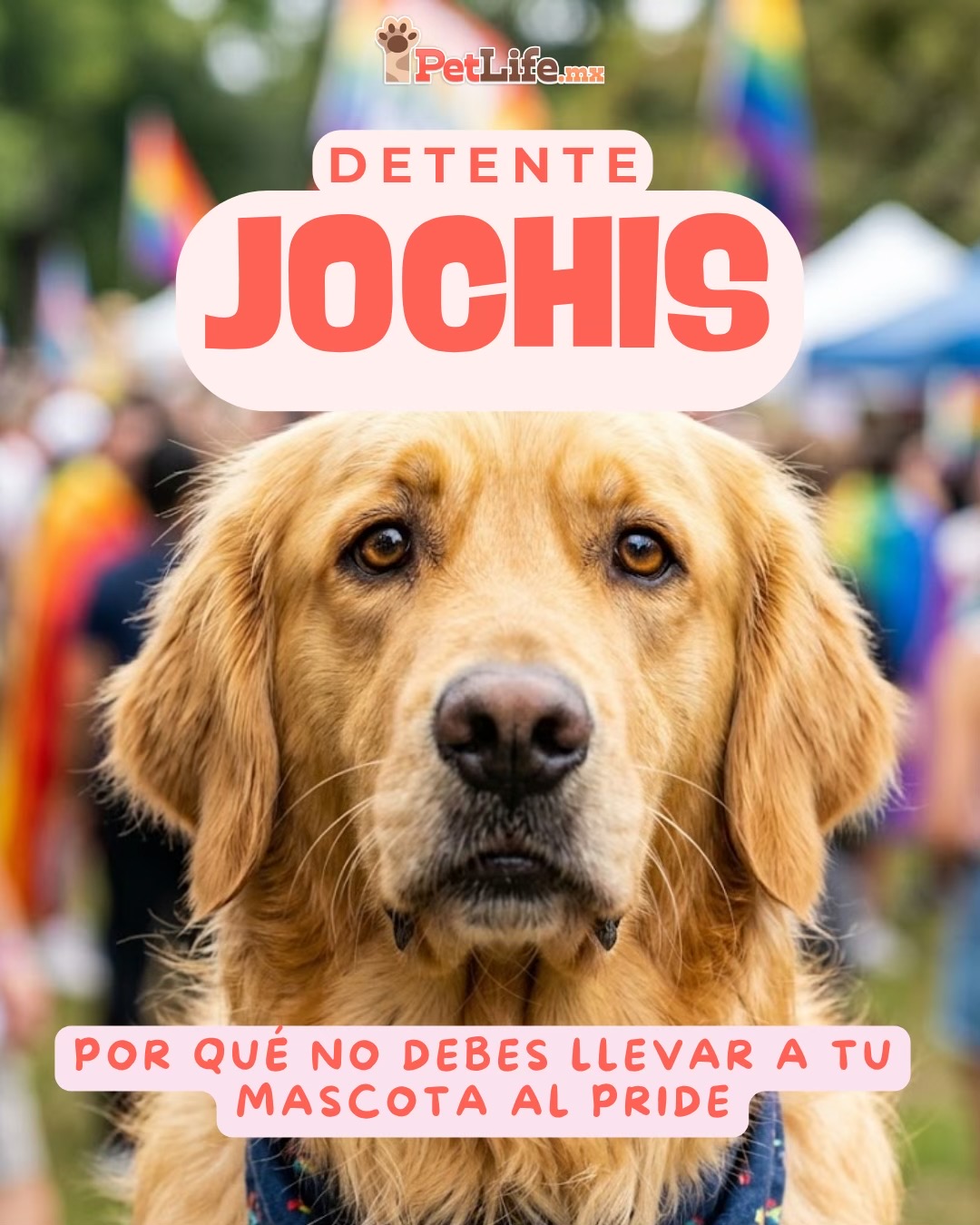 @Petlife