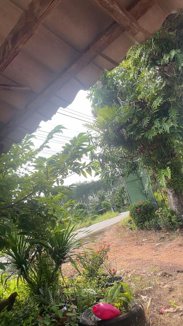 @โรงเรียนในใจคืออนุบาลสตูล🌹🌷