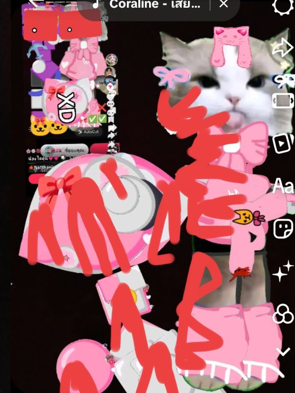 @🌸💮🌺มนอัน🌺🩷💮
