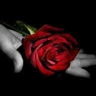 @Rosariaclaps Secondo Profilo
