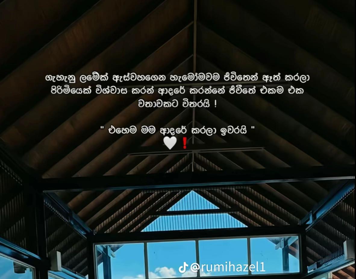 @hashi1711