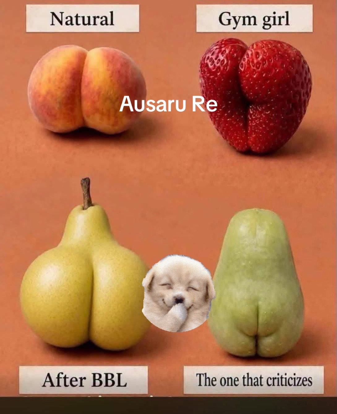 @Ausaru_re