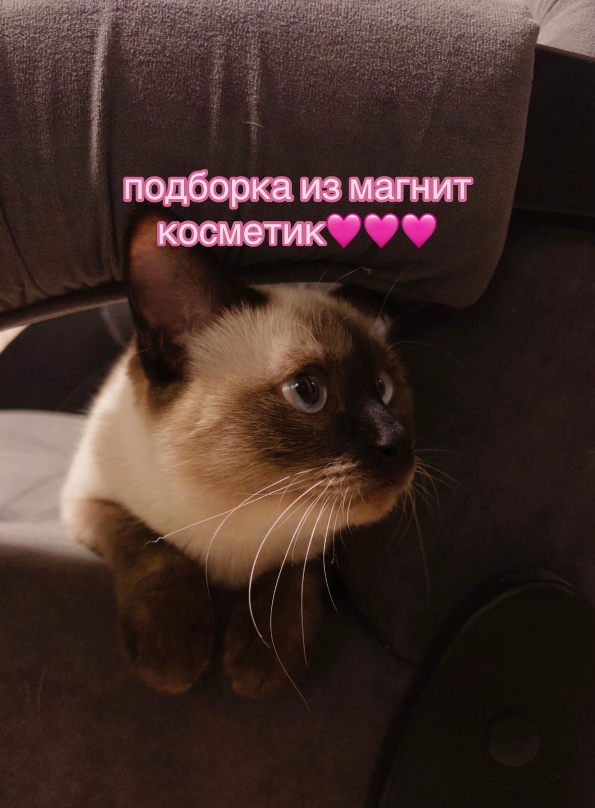 @🤍🫧ʍᥲну᧘ь🐾☁️