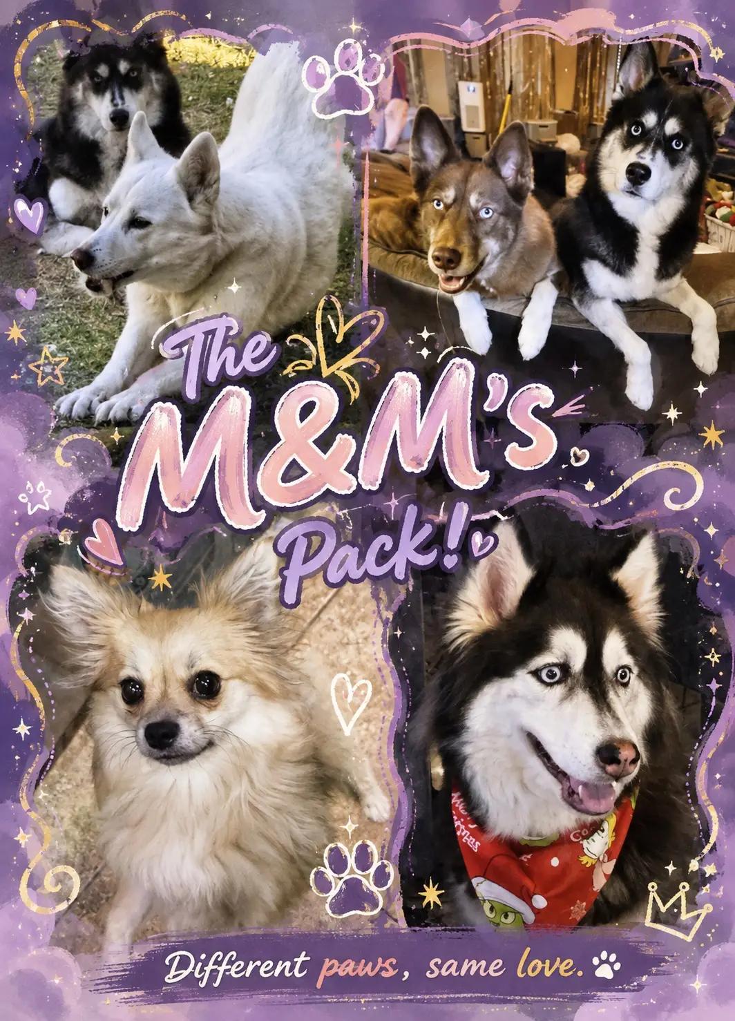 @The Dog Mom