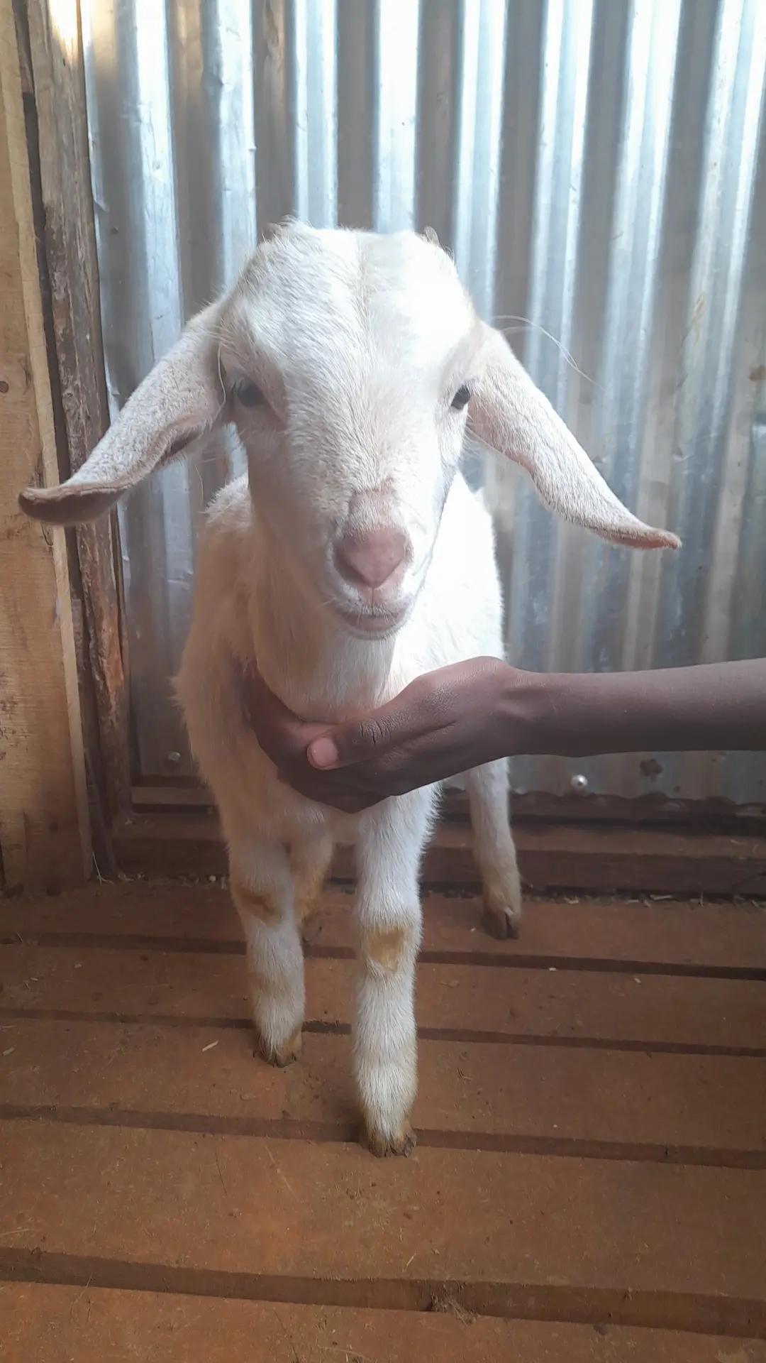 @Sam Kariuki