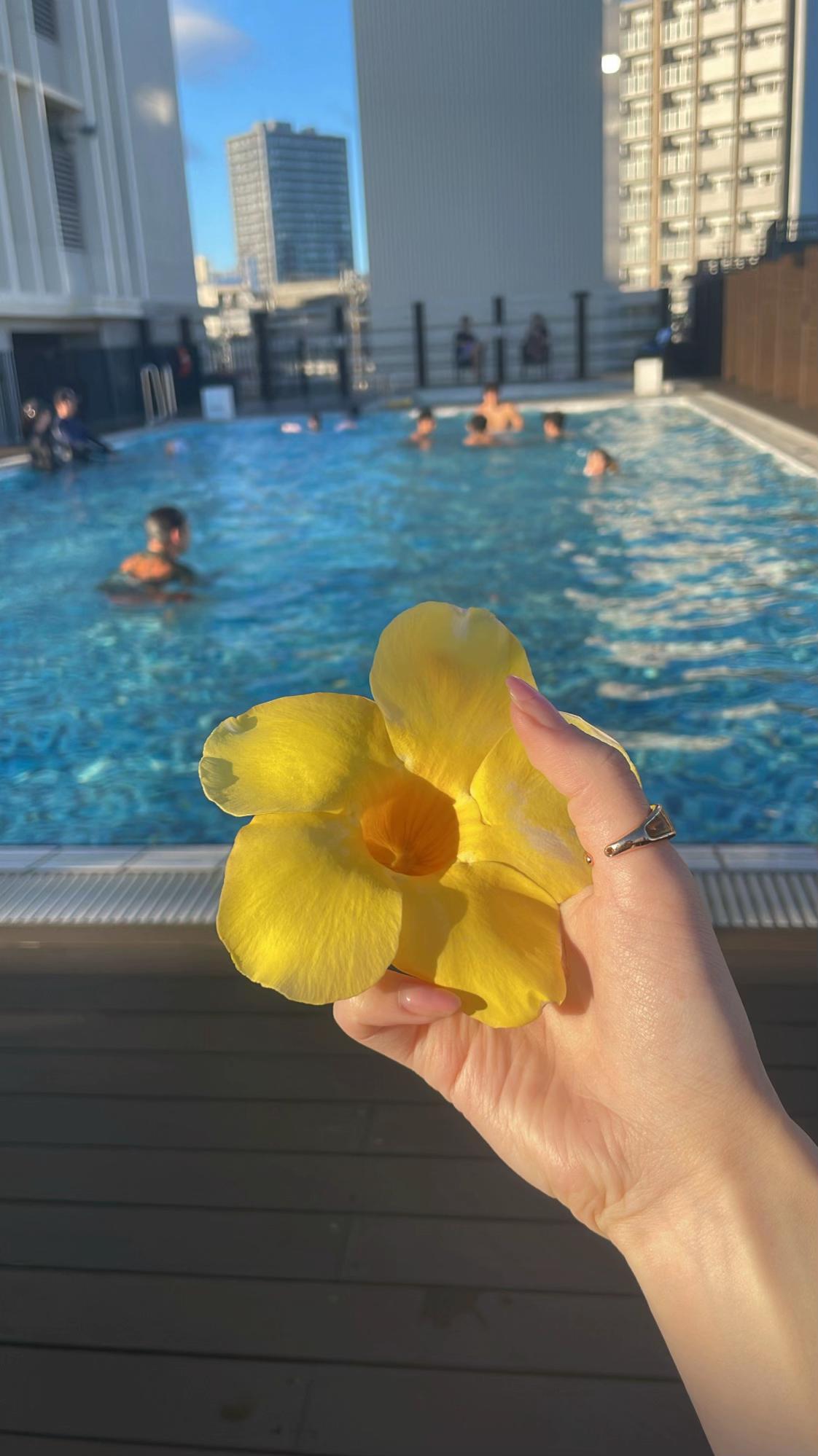 @icy.kaa