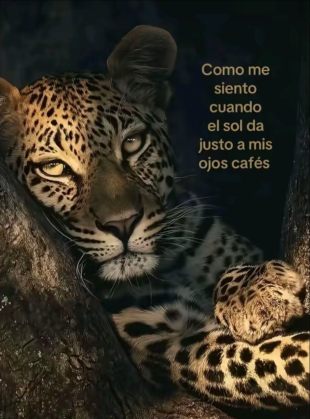 @𝔏𝔲𝔩𝔲𝔲 💜