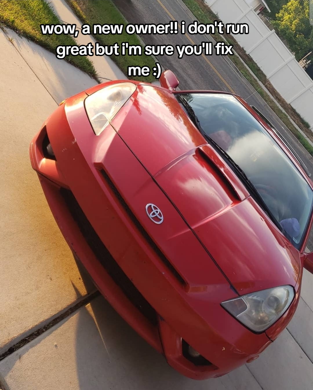 @harley 🦖