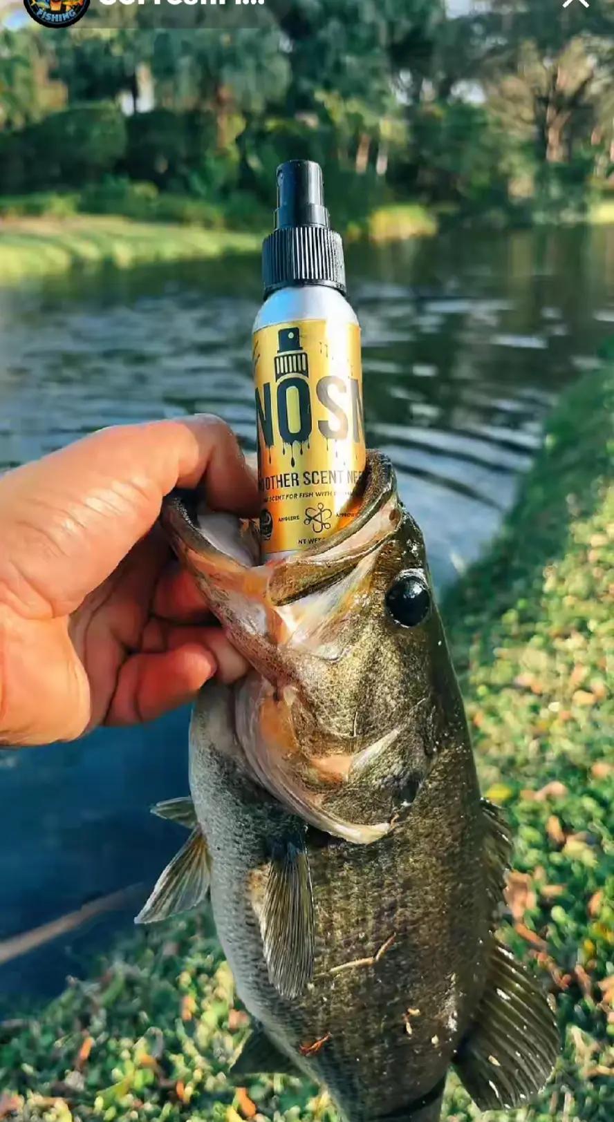 @3dprintedlures FWC