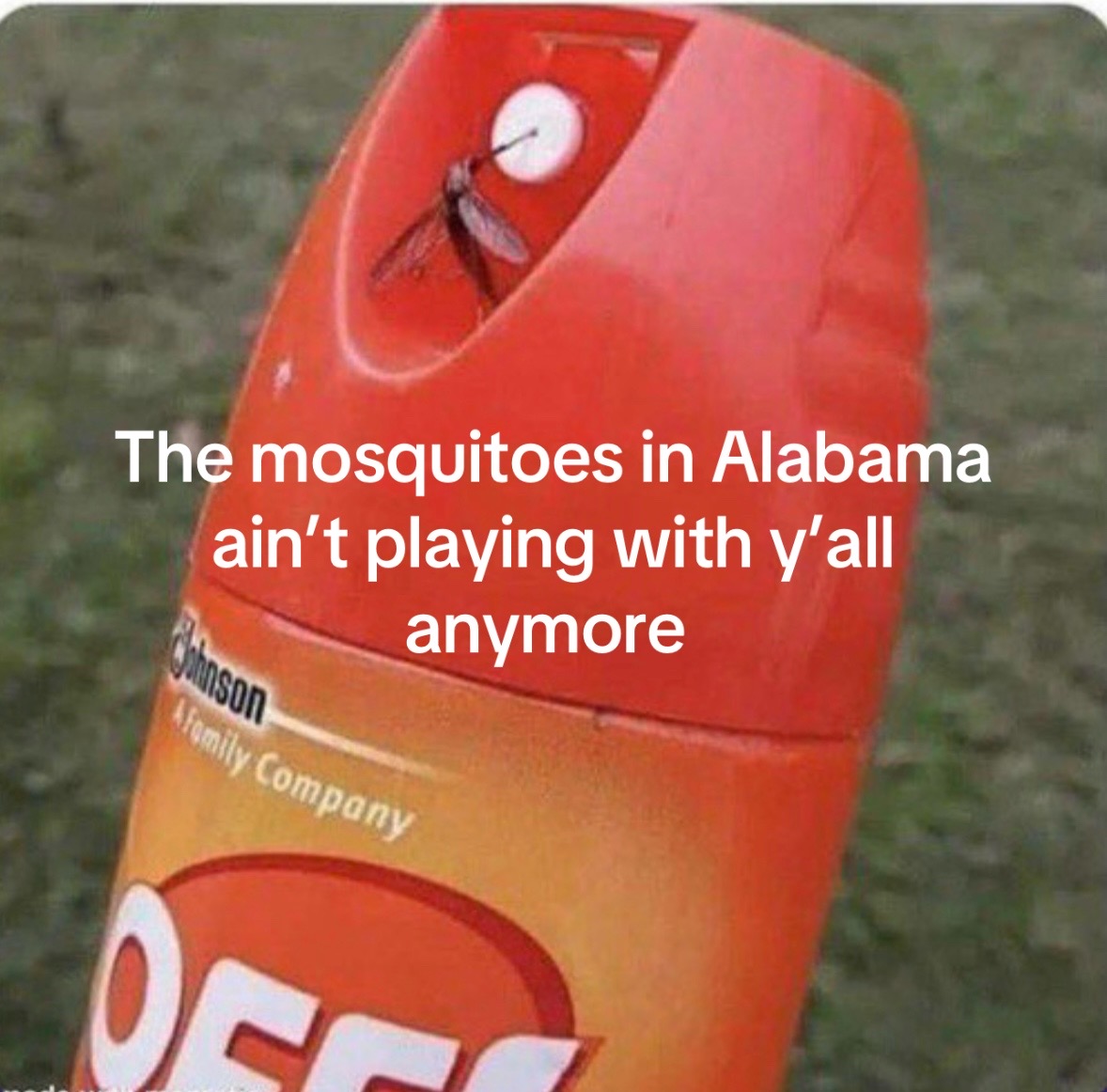 @Jeff Roberts❌
