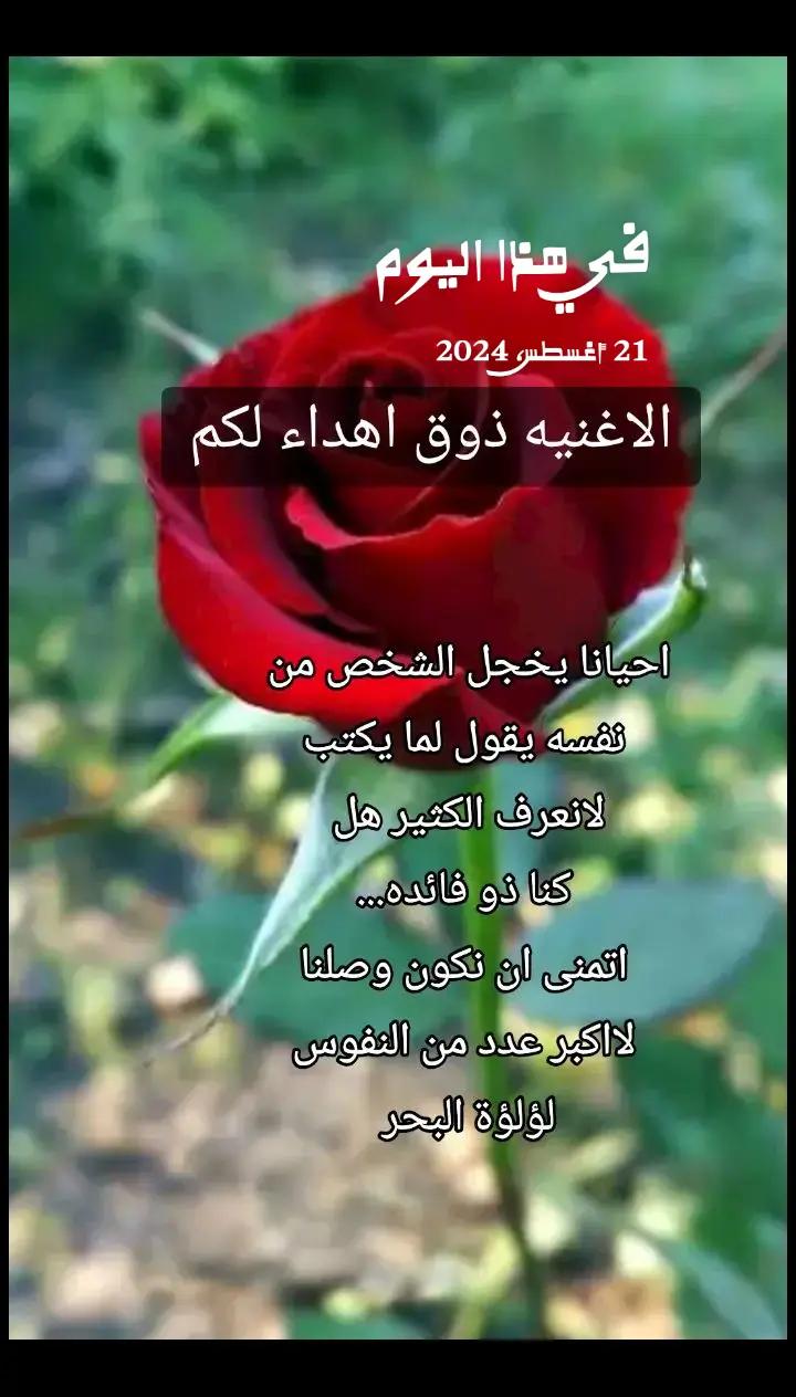 @💎لؤلؤة السماء💎