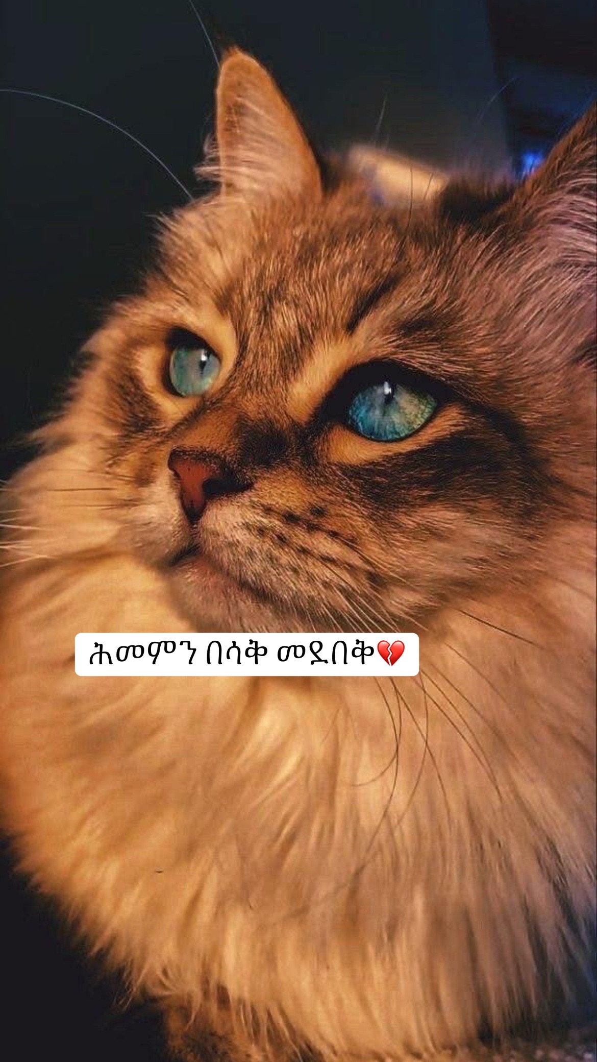 @𝒔𝒖𝒔𝒖🇪🇹🧡