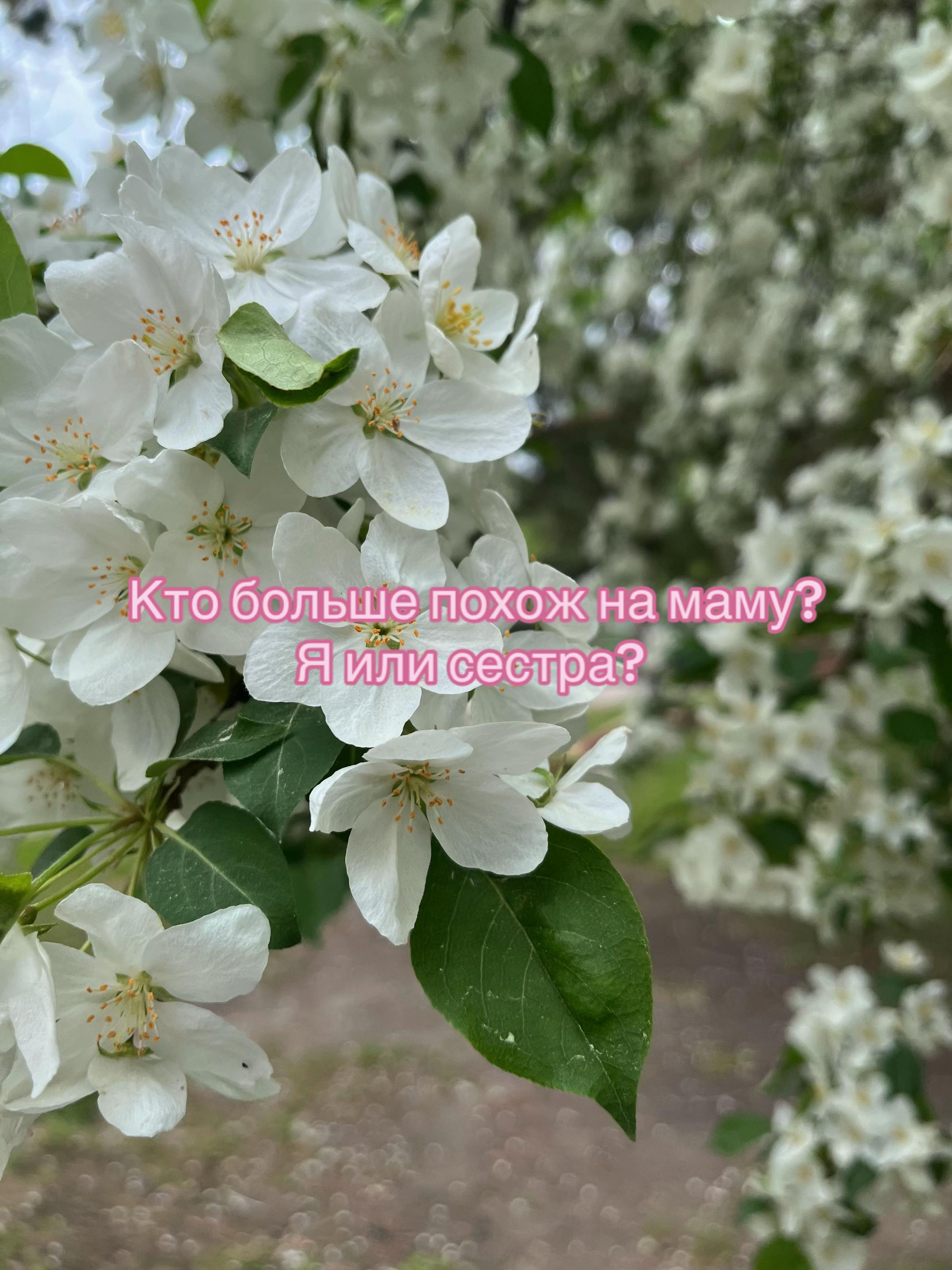 @прахт.