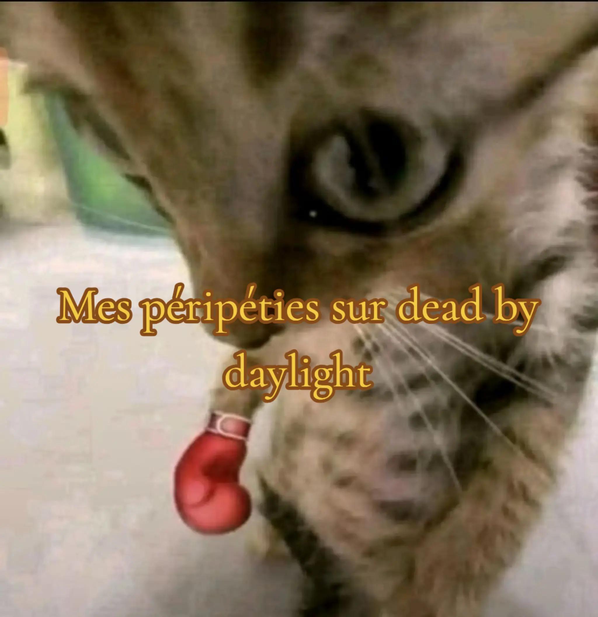 @๐๐ข๐ ๐ก๐ญ๐ฌ๐ญ๐๐ซ