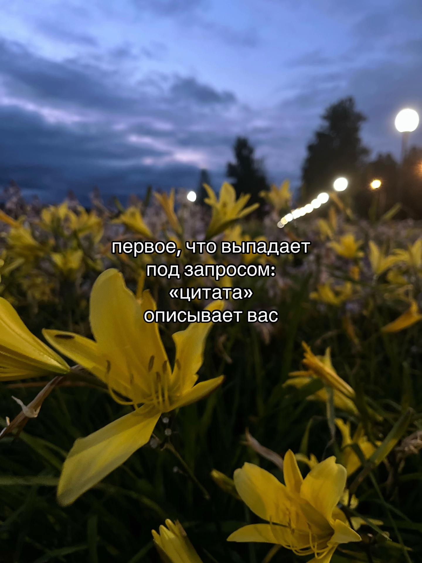 @хз♻️