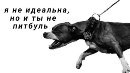 @ТГК:Руна Сруна