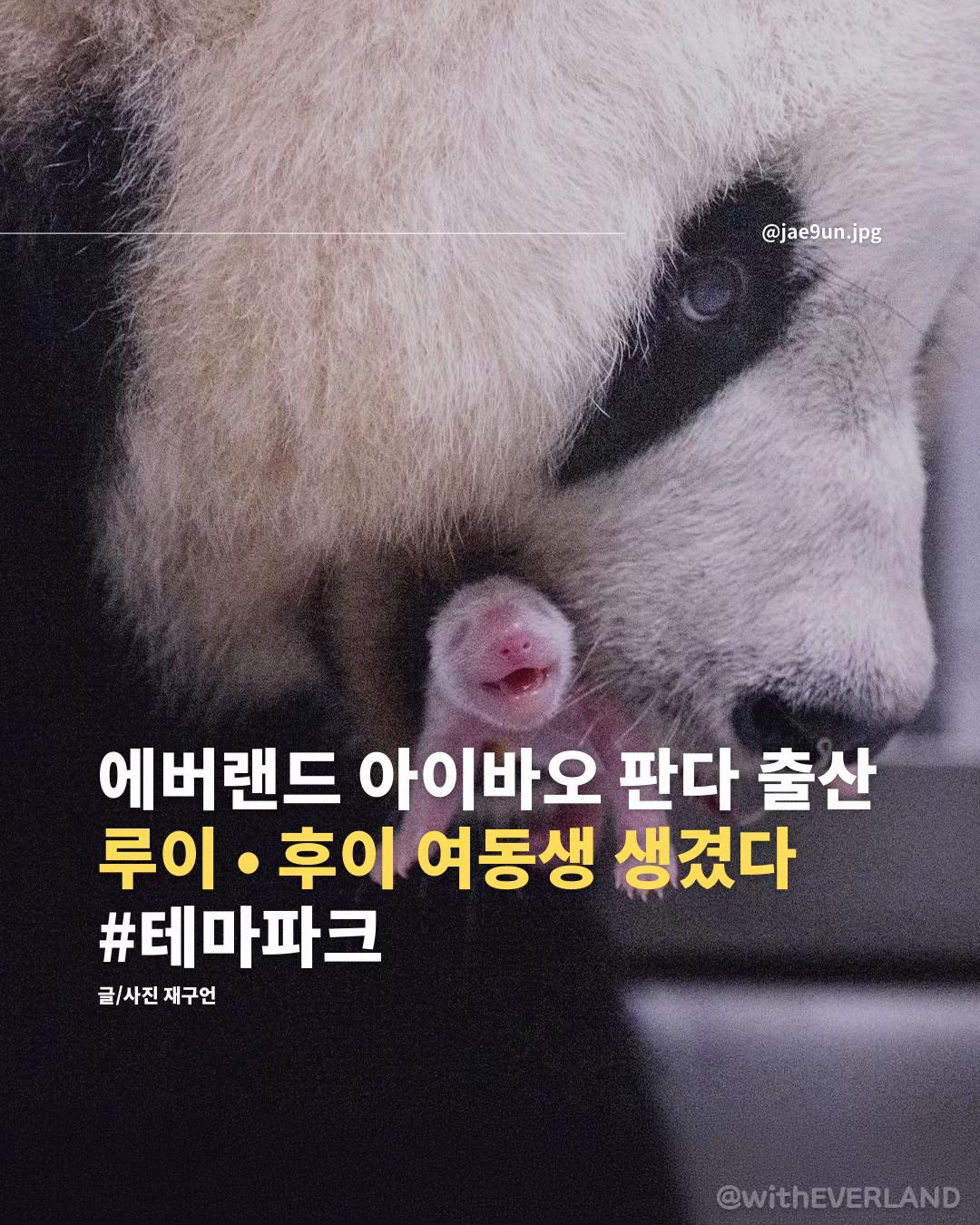 @재구언