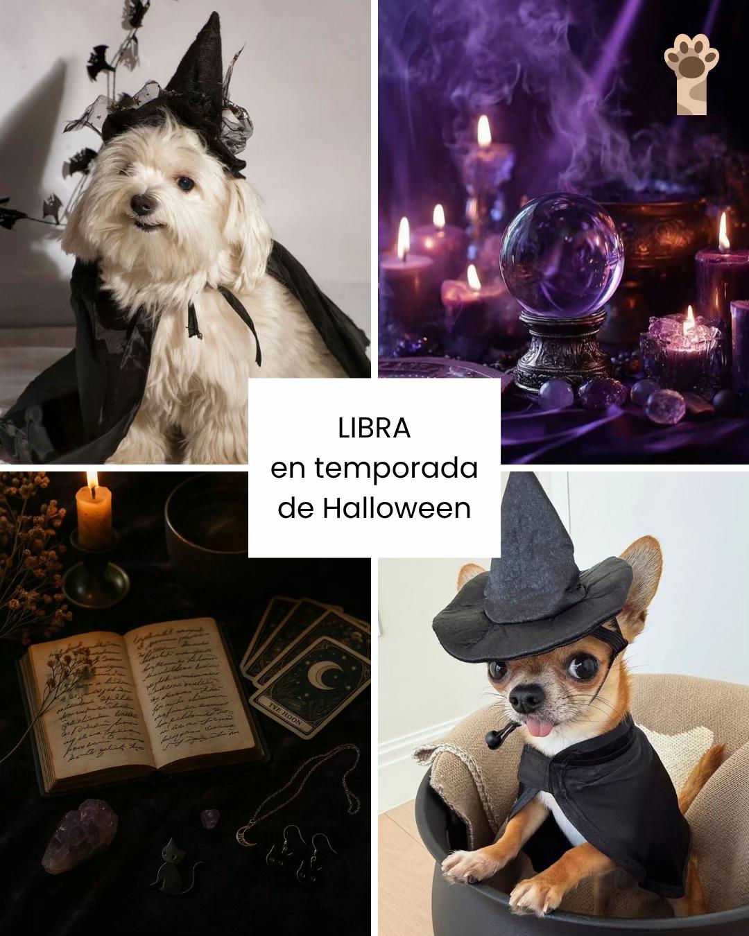 @Petlife