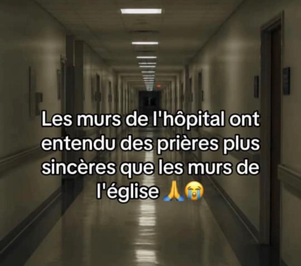 @Pathy micia ✨️🤍
