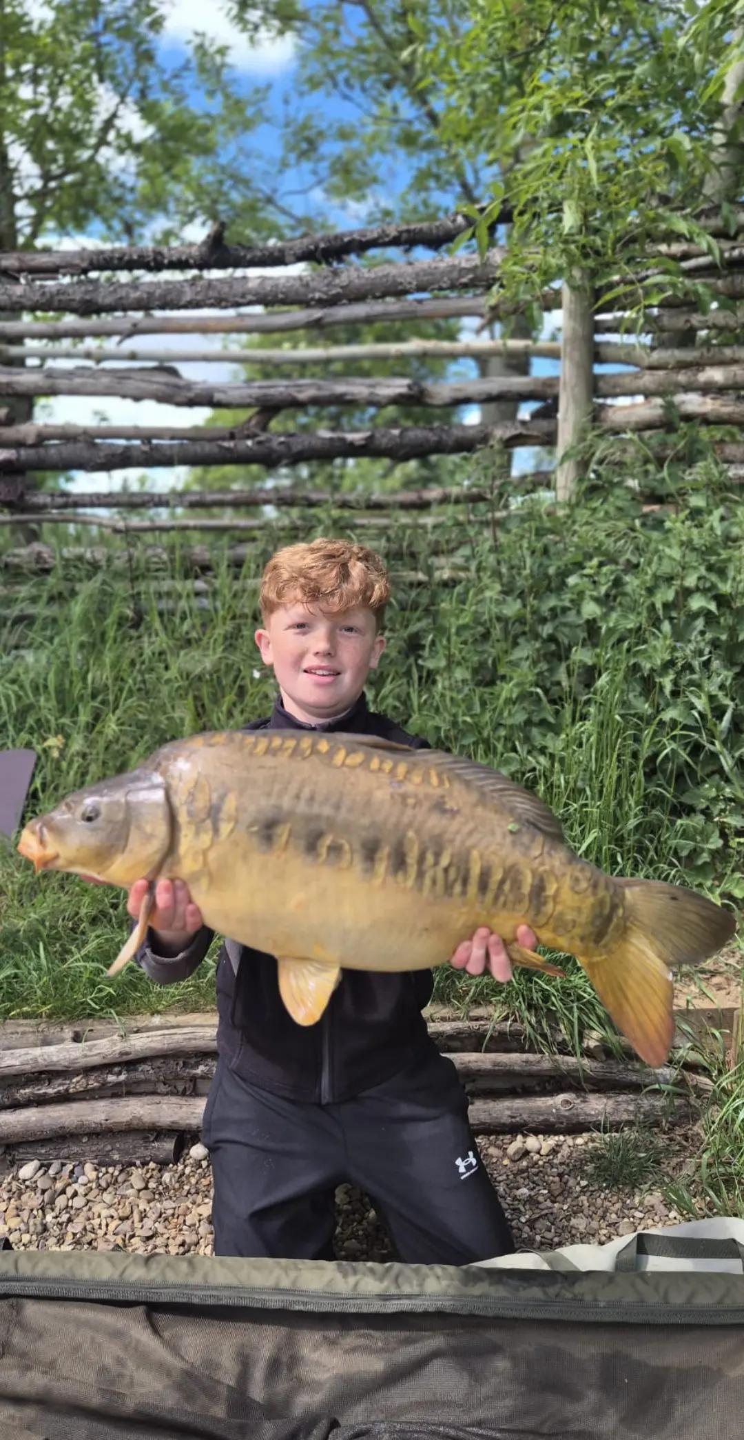 @Carpy Brez