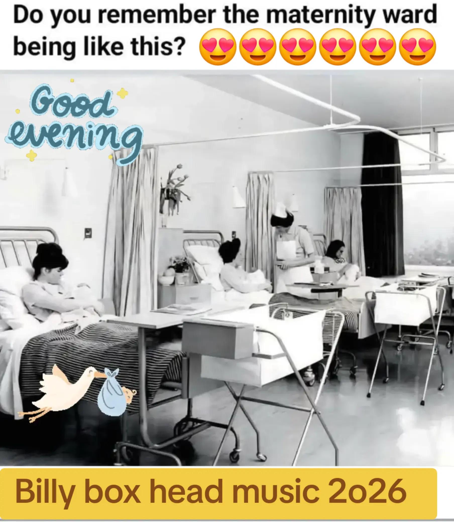 @billy box head