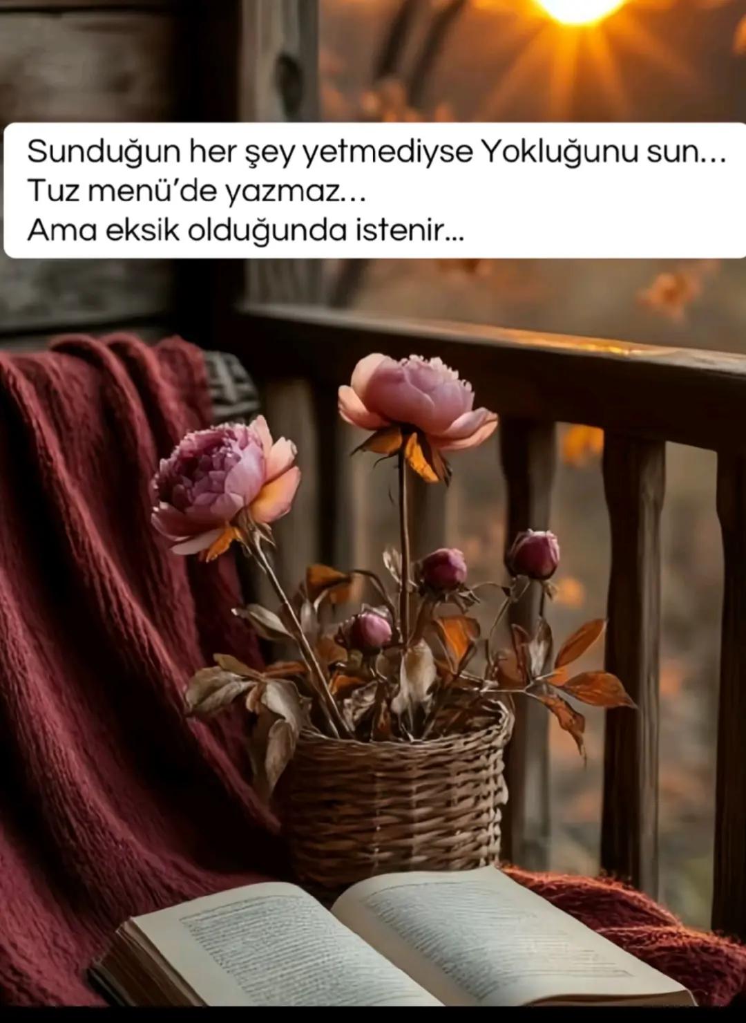 @hayattan izler