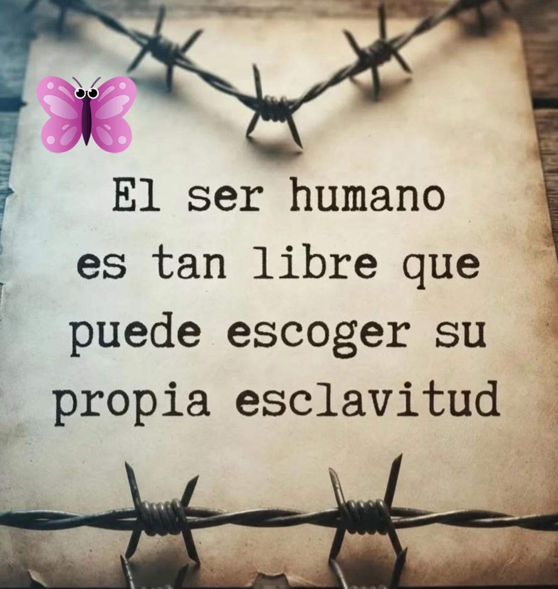 @Veronica Esperanza L