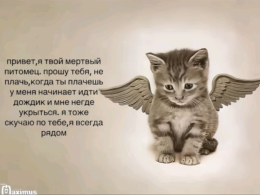 @Артем