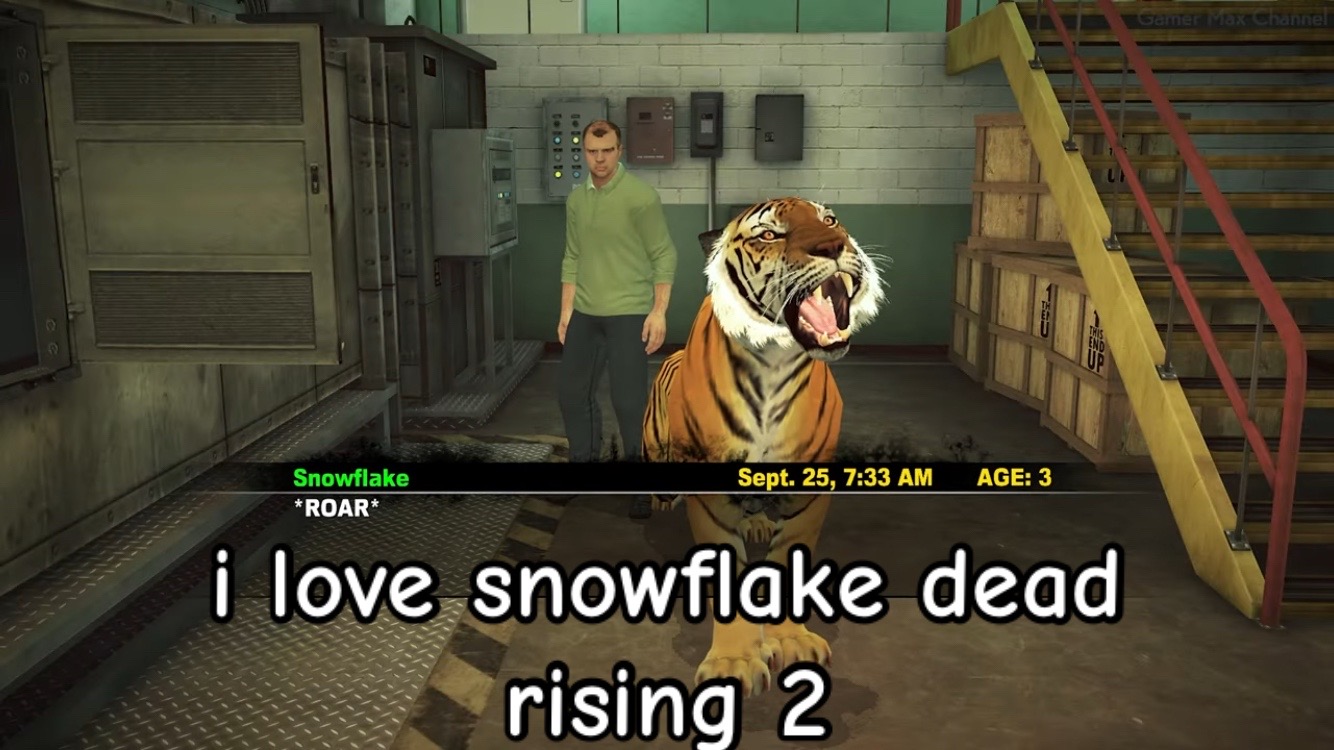 @kit