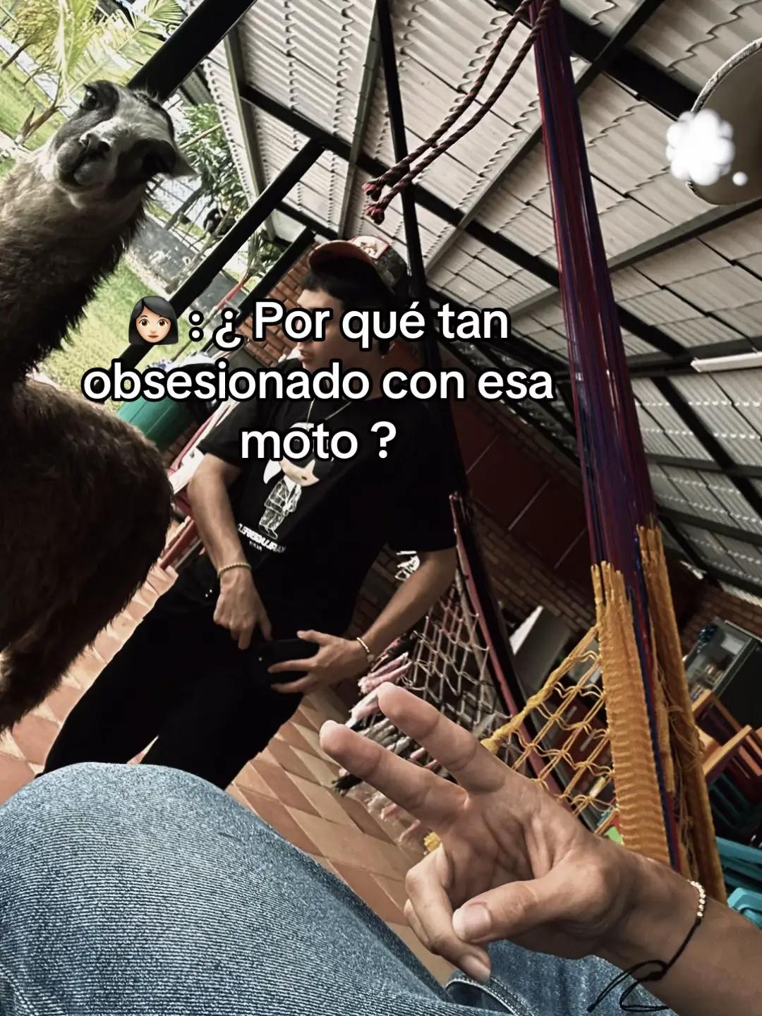 @Mr_frases
