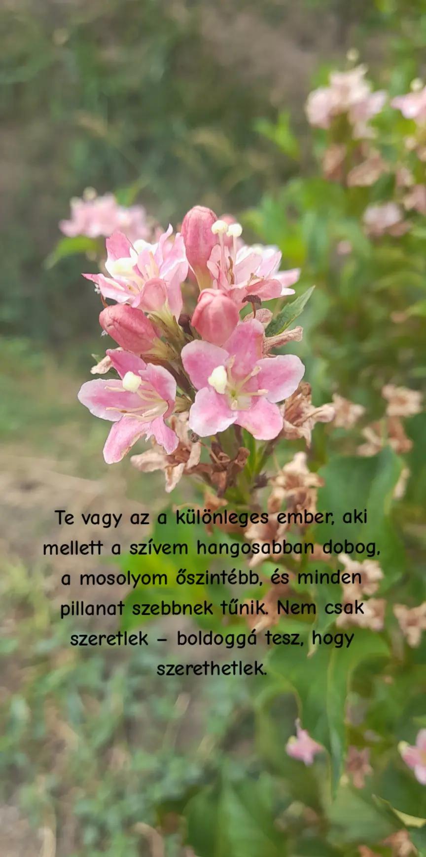 @𝓐𝓷𝓷𝓪