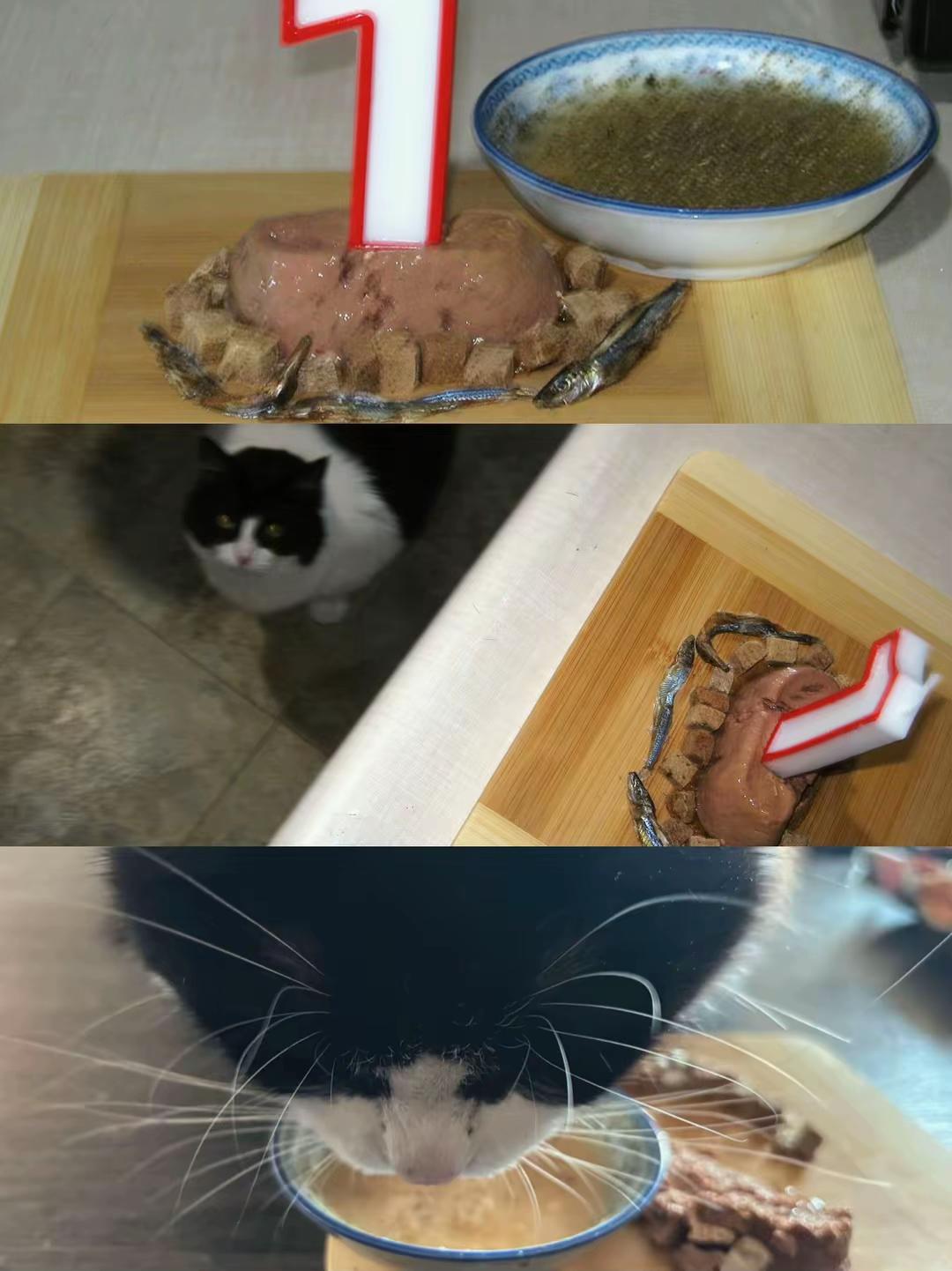 @Meowzers_dude