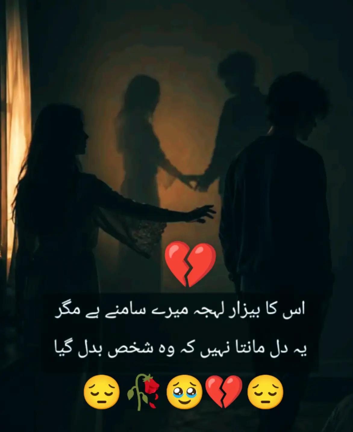 @Hassan Hussain💞