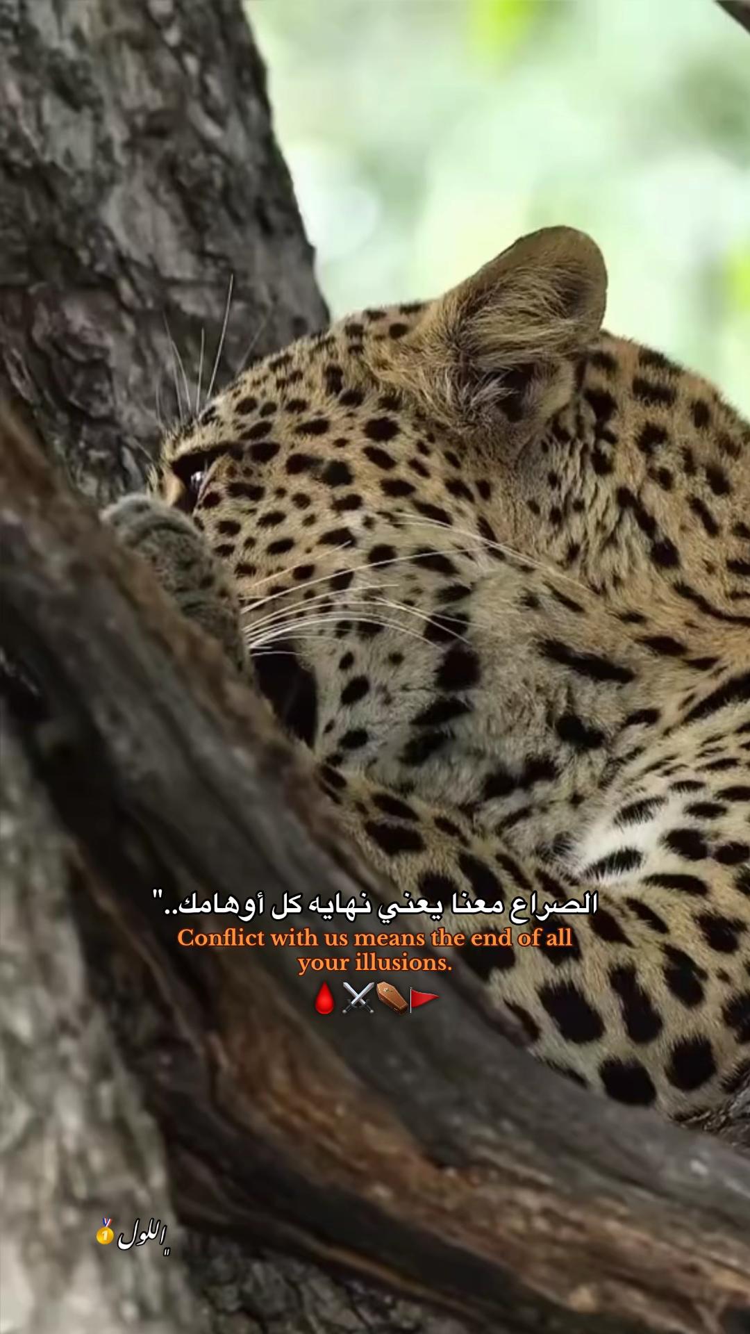 @﮼اللول☝🏼🤴🏼