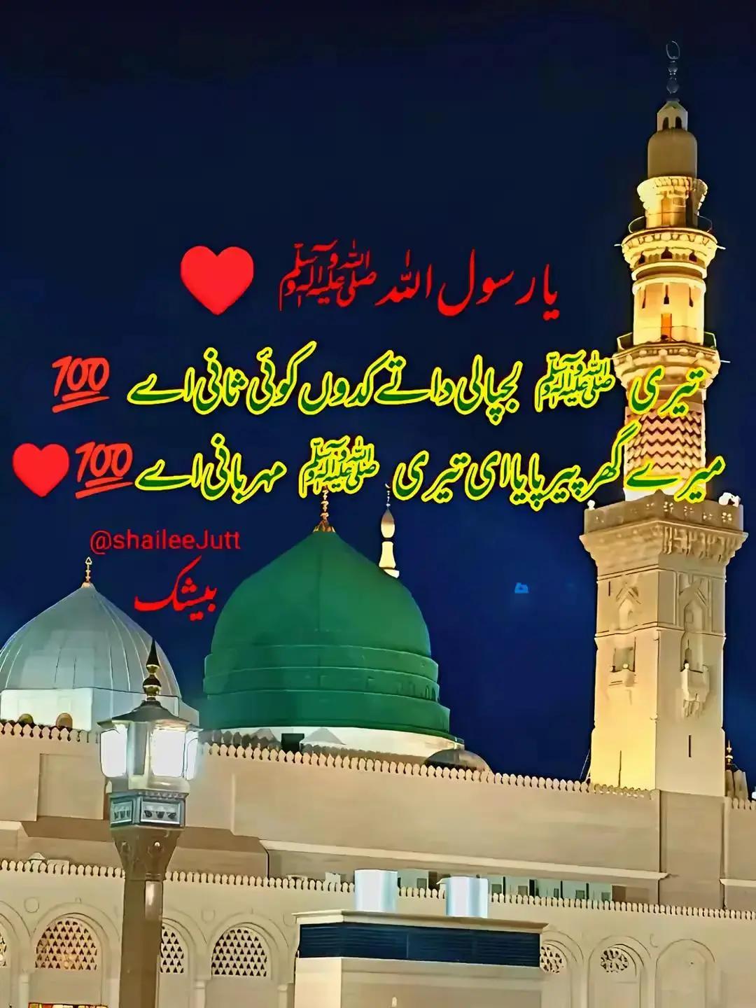 @inzamam jani