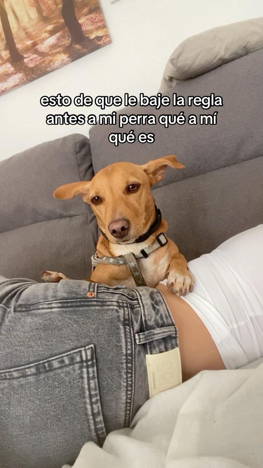 @marta๐ท๐