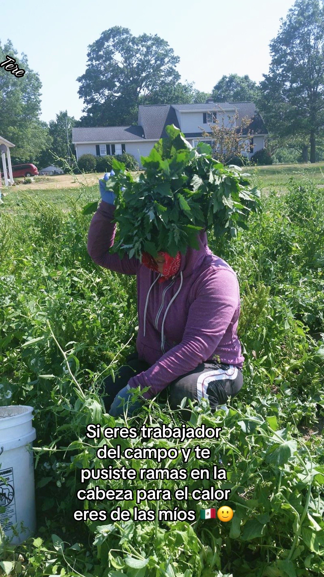 @terecervantes1120