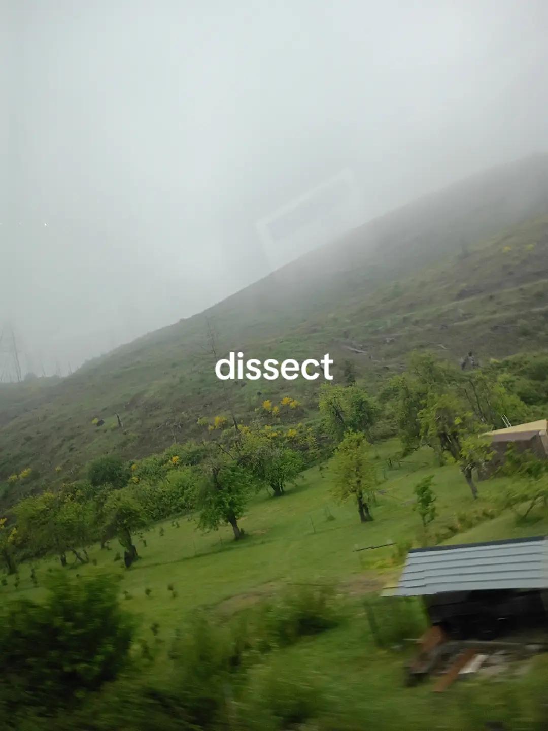 @𖣂𝕤𝕙𝕒𝕘𝕘𝕪𝟚𝕕𝕠𝕡𝕖𖣂