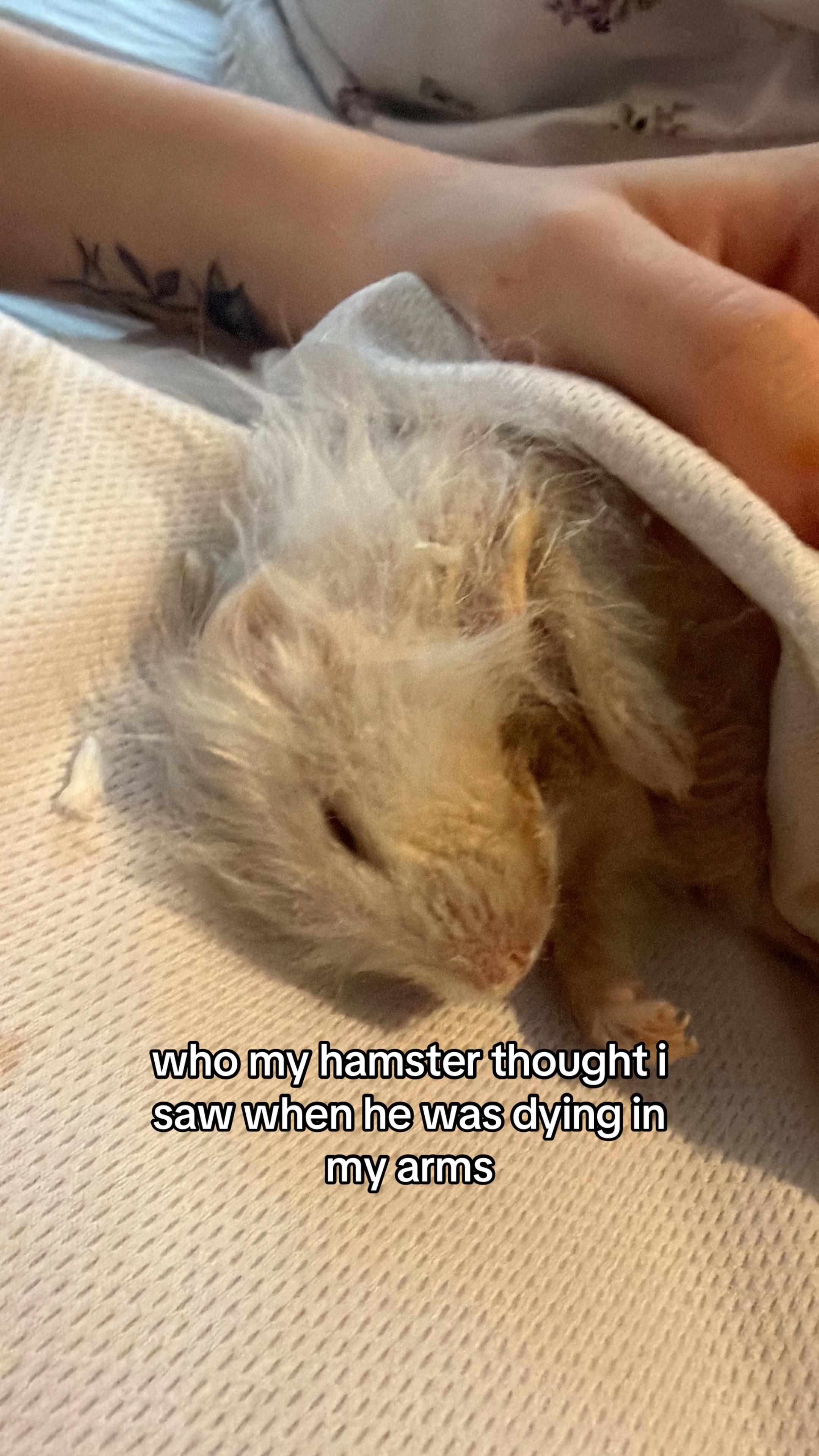 @oli